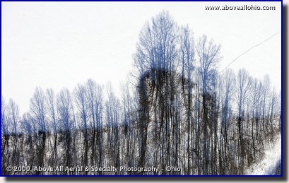 Aerial view of shadows cast by bare trees on the snow